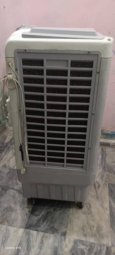 air colar 03274048197