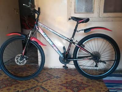 ELEGANT BIKE
