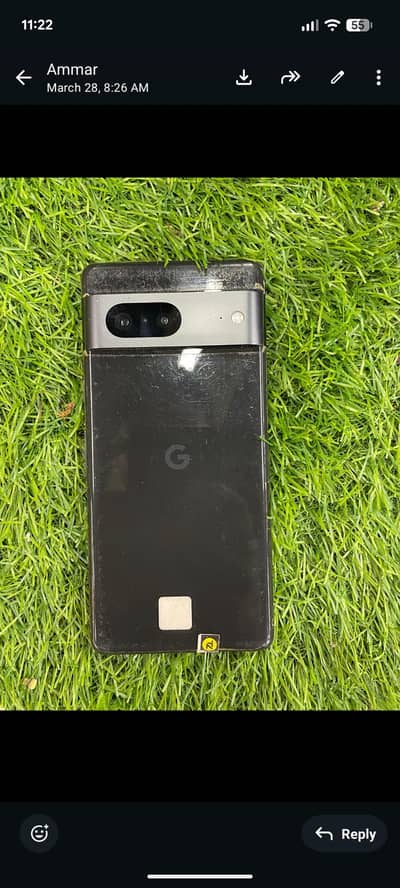 google pixel 7