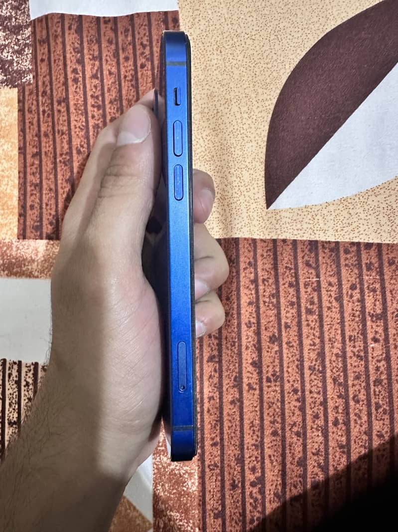 Apple iPhone 12 1