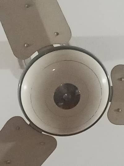 Ceiling fans