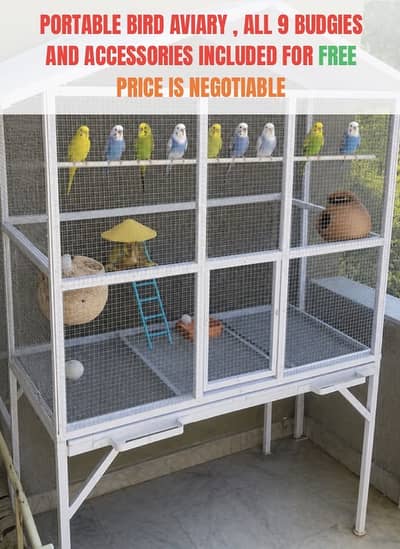 Portable Aviary  9 BUDGIES and accessories included Negotiable Price