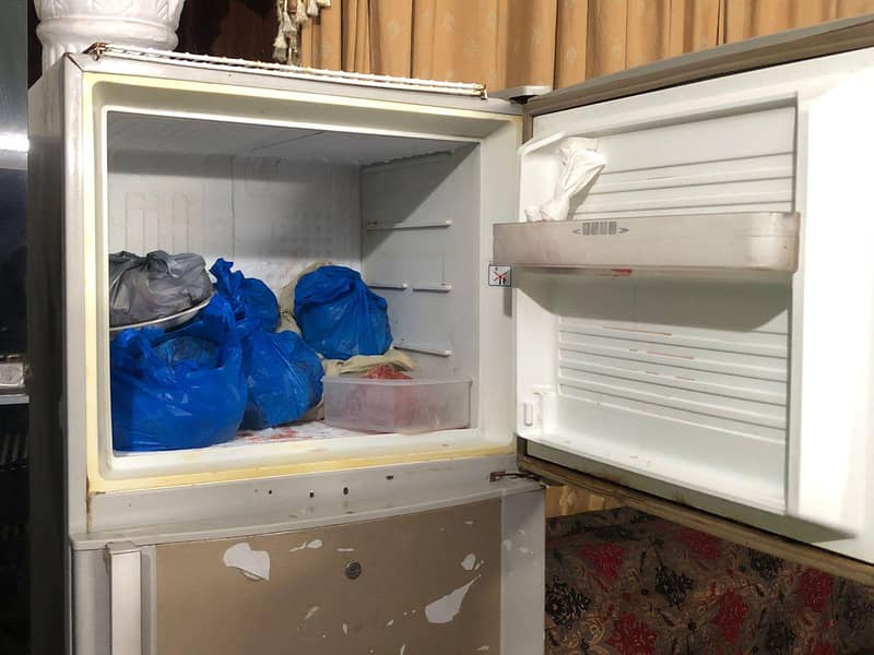 Fridge 2