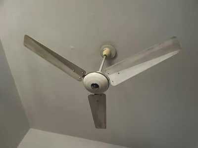 Traditional Ceiling Fan Rs 5000