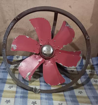 fan and motor