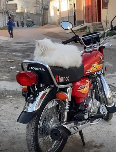Honda CG 125 2021