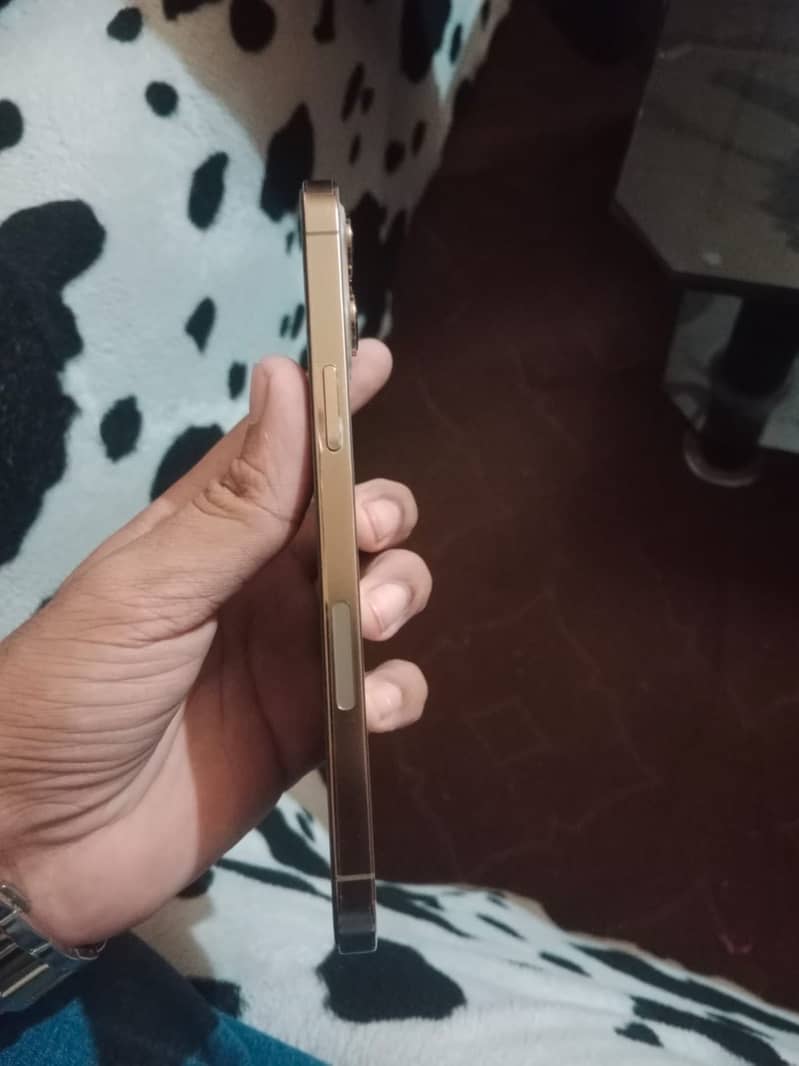 Apple iPhone 12 Pro Max 1