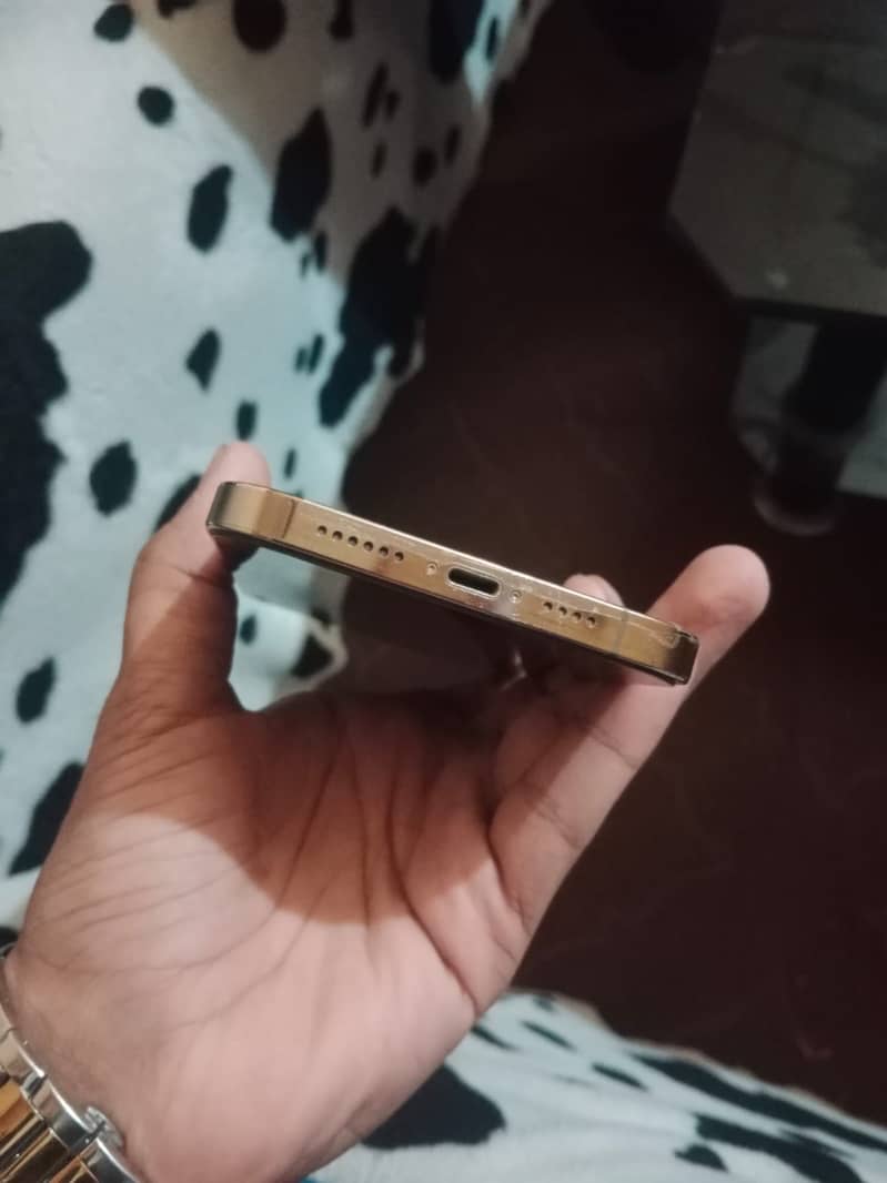 Apple iPhone 12 Pro Max 2
