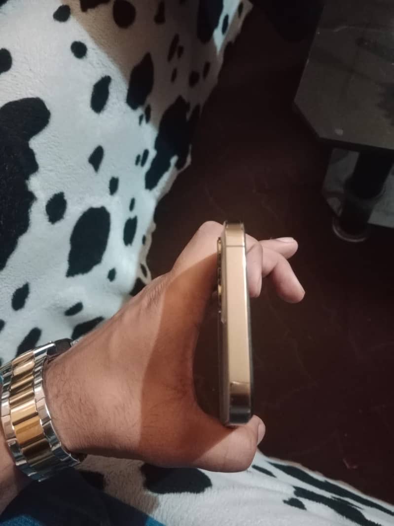 Apple iPhone 12 Pro Max 4