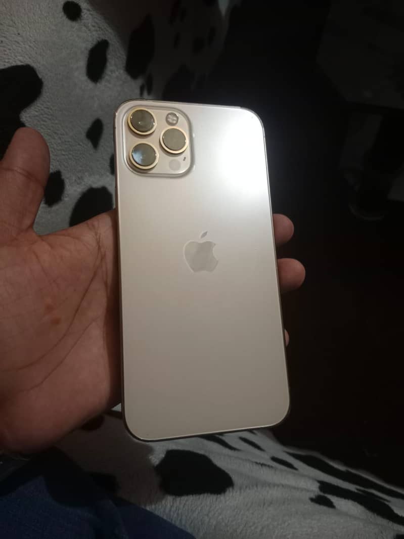 Apple iPhone 12 Pro Max 5
