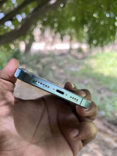 Iphone 13 pro maxx