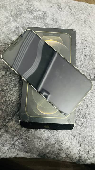 Apple iPhone 12 Pro Max