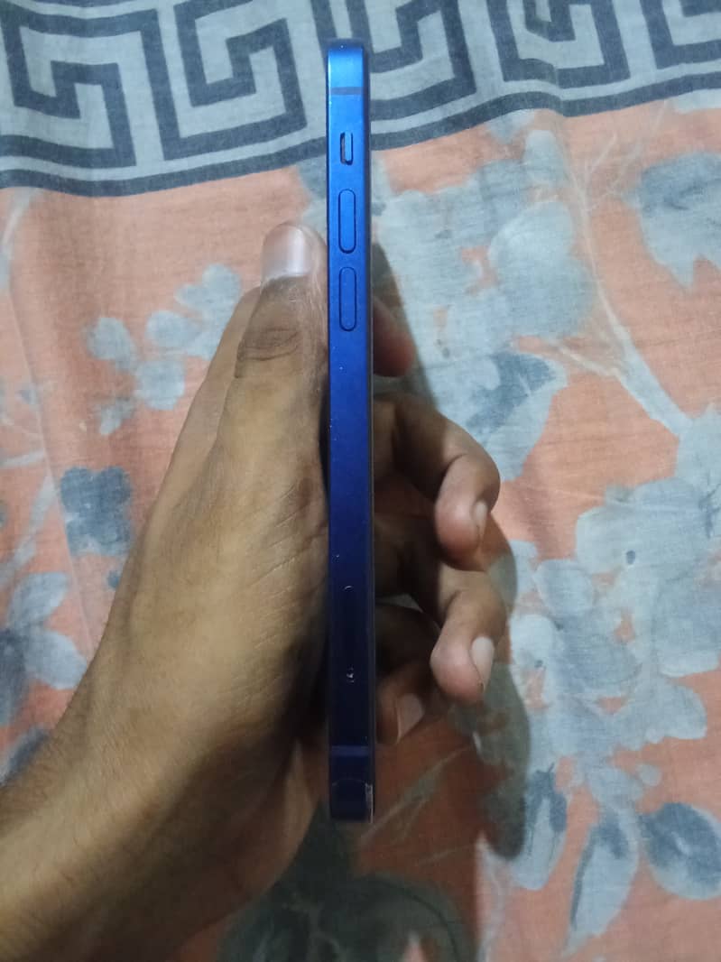 Apple iPhone 12 1