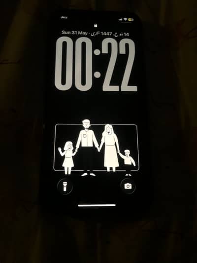iPhone 12 256 GB PTA Approved