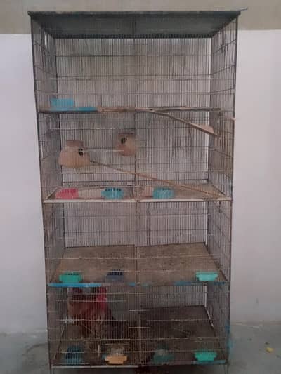 4 Portion Cage Heavy Weight
