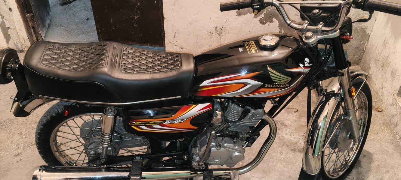 مکمل فیل بایومیٹرک موکے پر 1