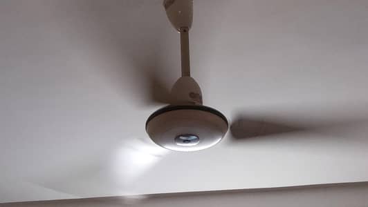 GFC Fan For sell!