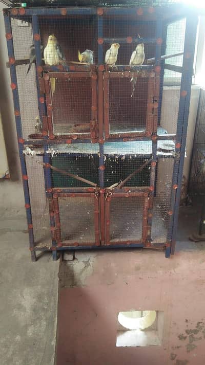 Cage for sale