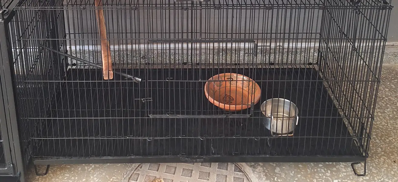 cages for sale