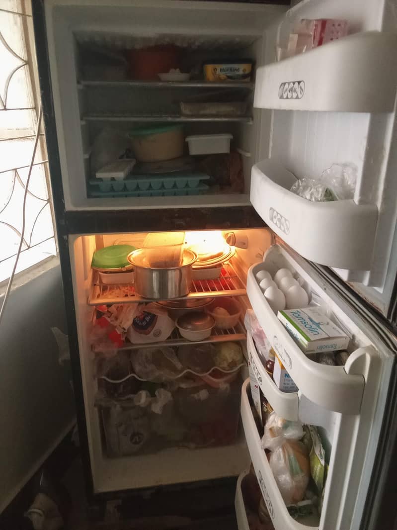 fridge 1