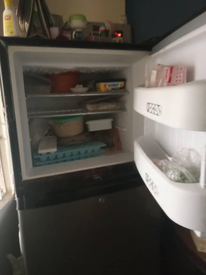 fridge 3