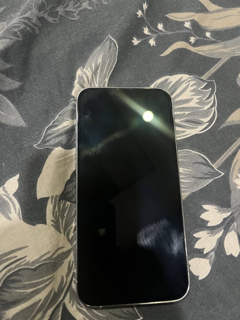 iphone 13 pro 1