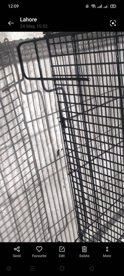 iron cage
