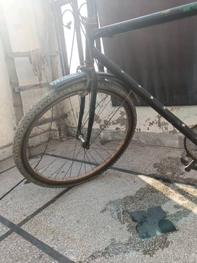 cycle hai