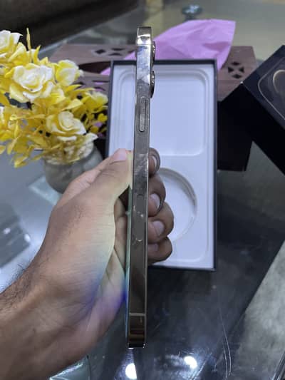 Apple iPhone 12 Pro Max