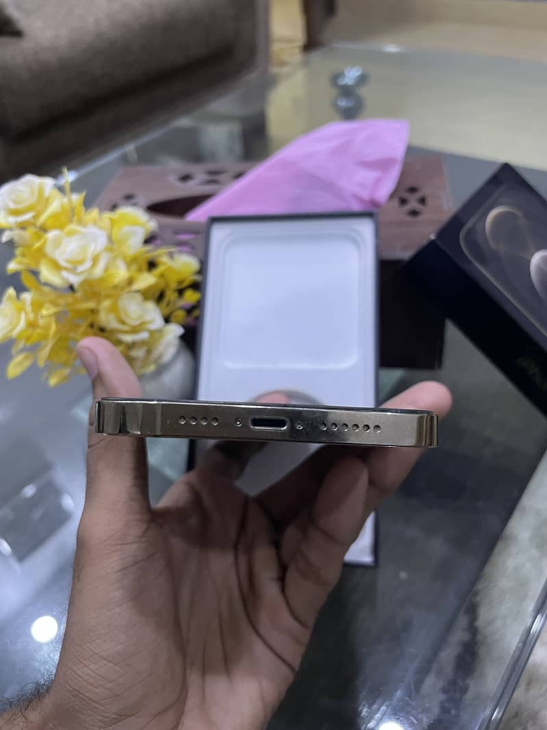 Apple iPhone 12 Pro Max 1