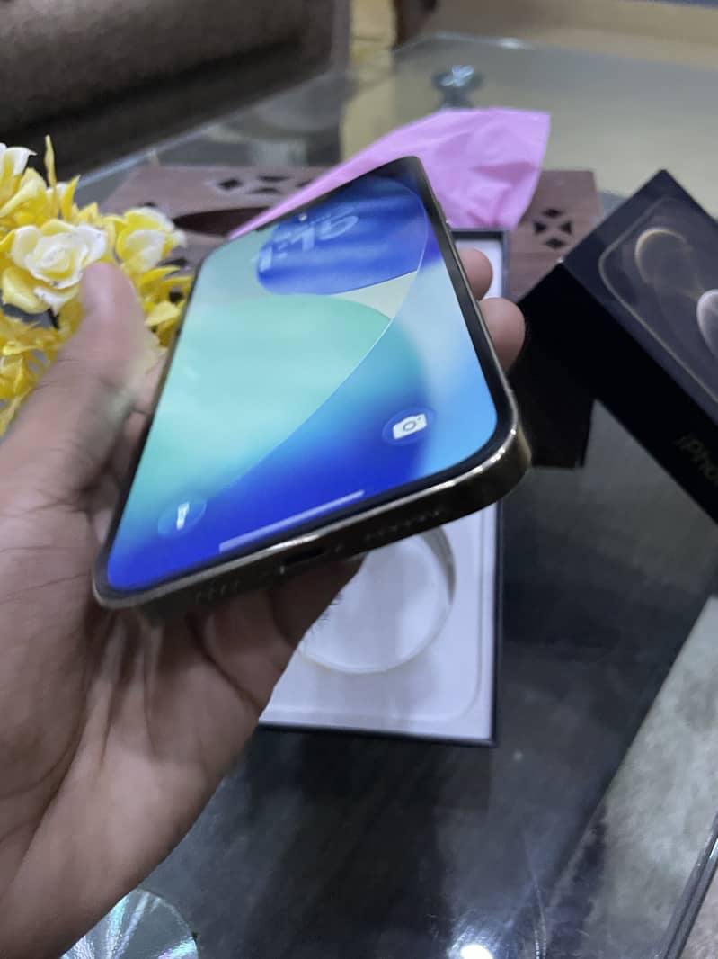 Apple iPhone 12 Pro Max 3