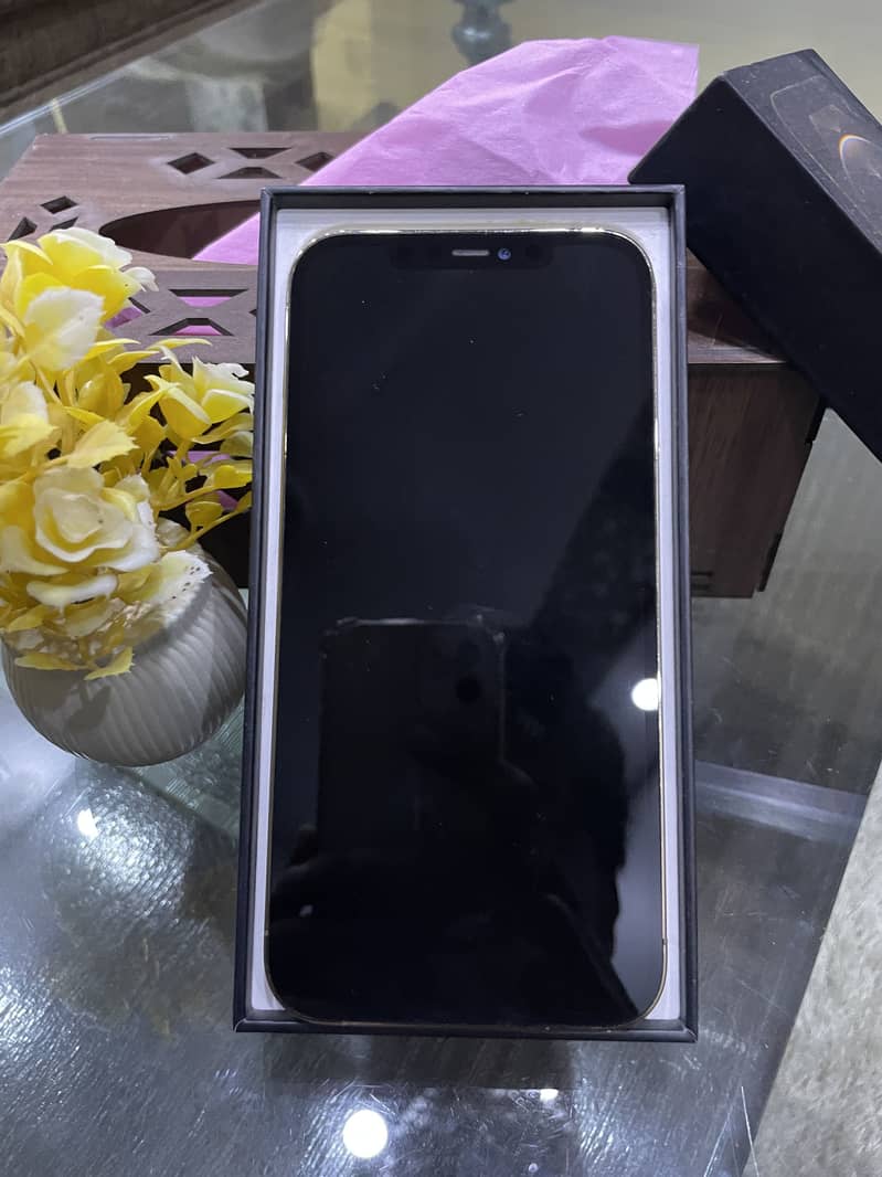 Apple iPhone 12 Pro Max 4