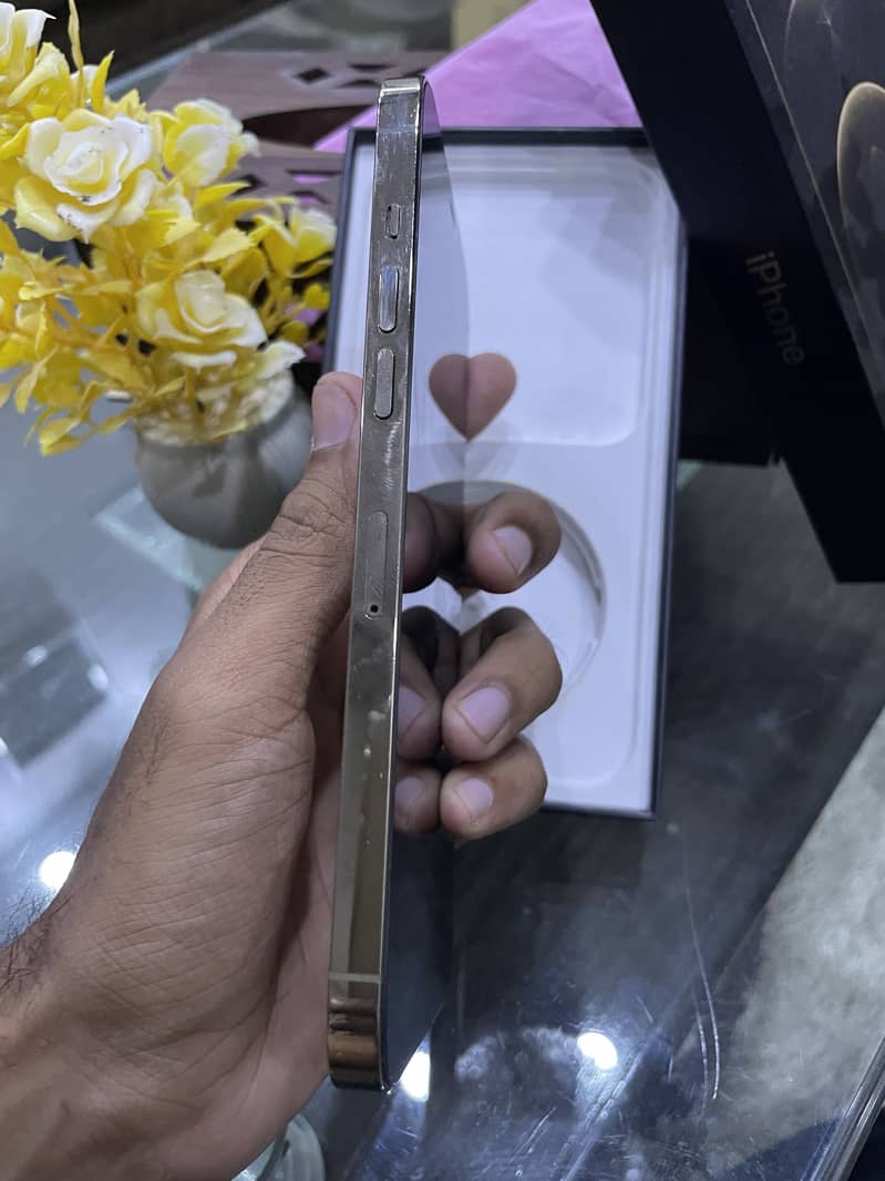 Apple iPhone 12 Pro Max 5