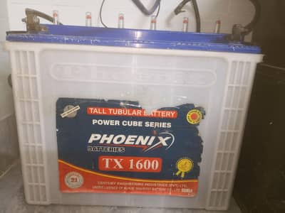 Phoenix Tall Tabular Battery