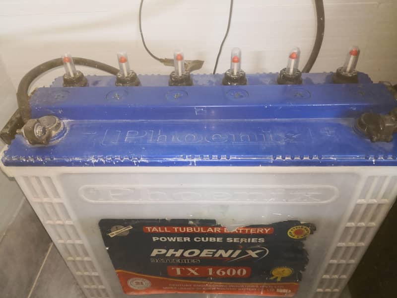 Phoenix Tall Tabular Battery 1