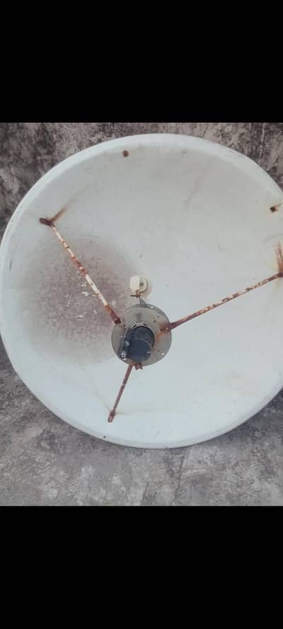 two dish antenna