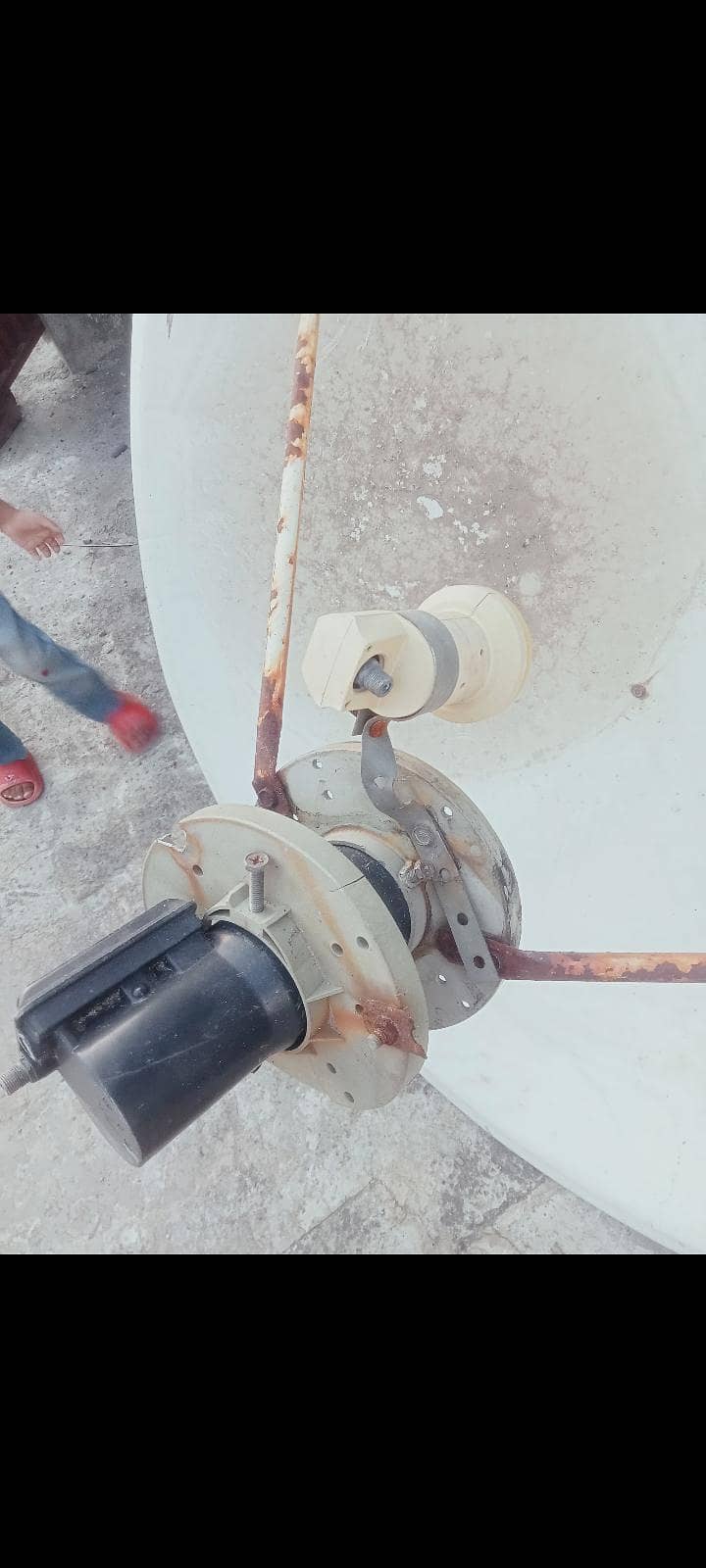 two dish antenna 1