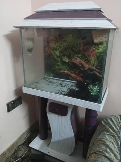 2ft Aquarium Fish Tank with Clear Glass