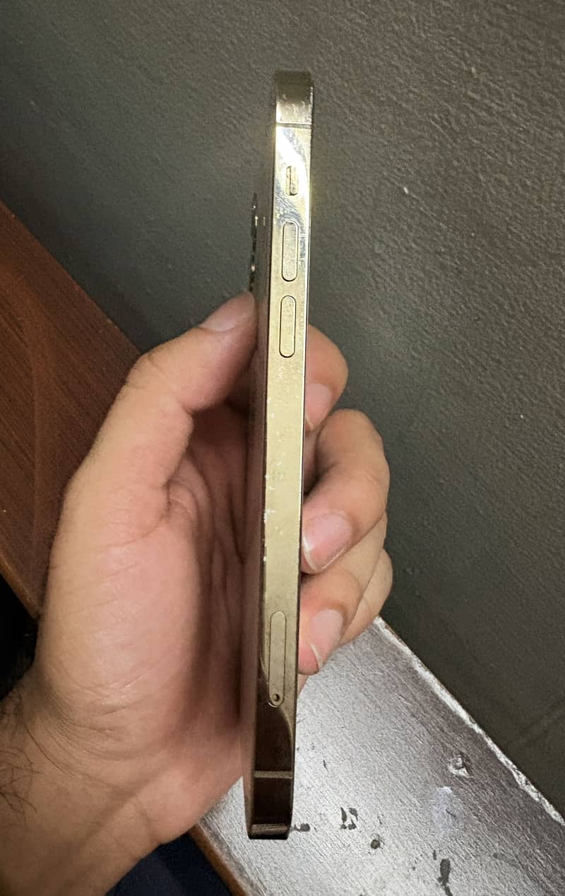 Apple iPhone 12 Pro 4