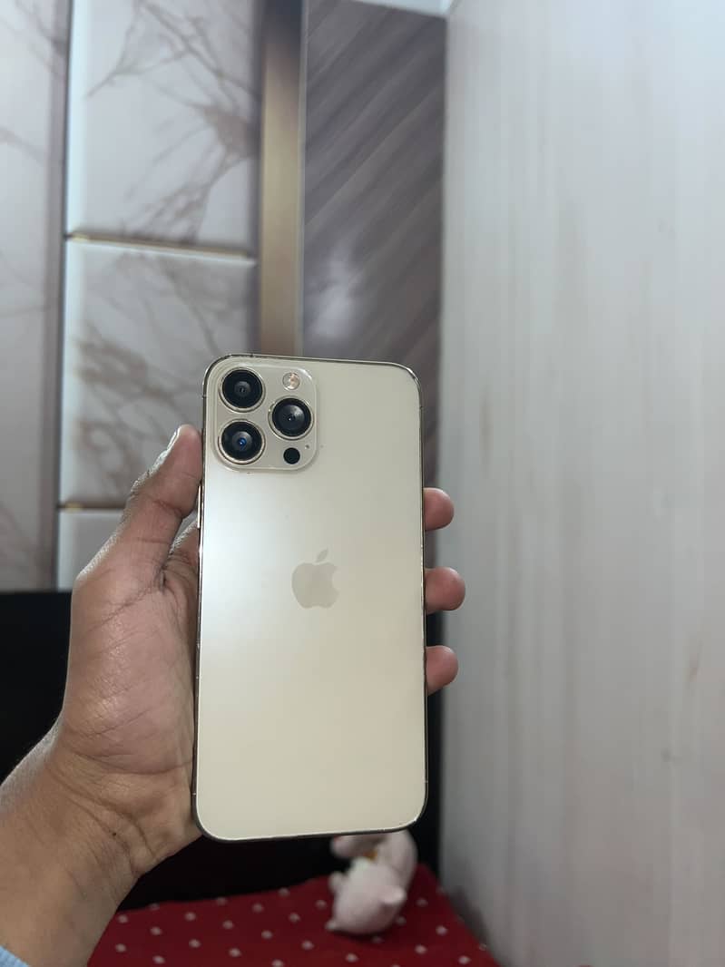 Apple iPhone 13 Pro Max 1