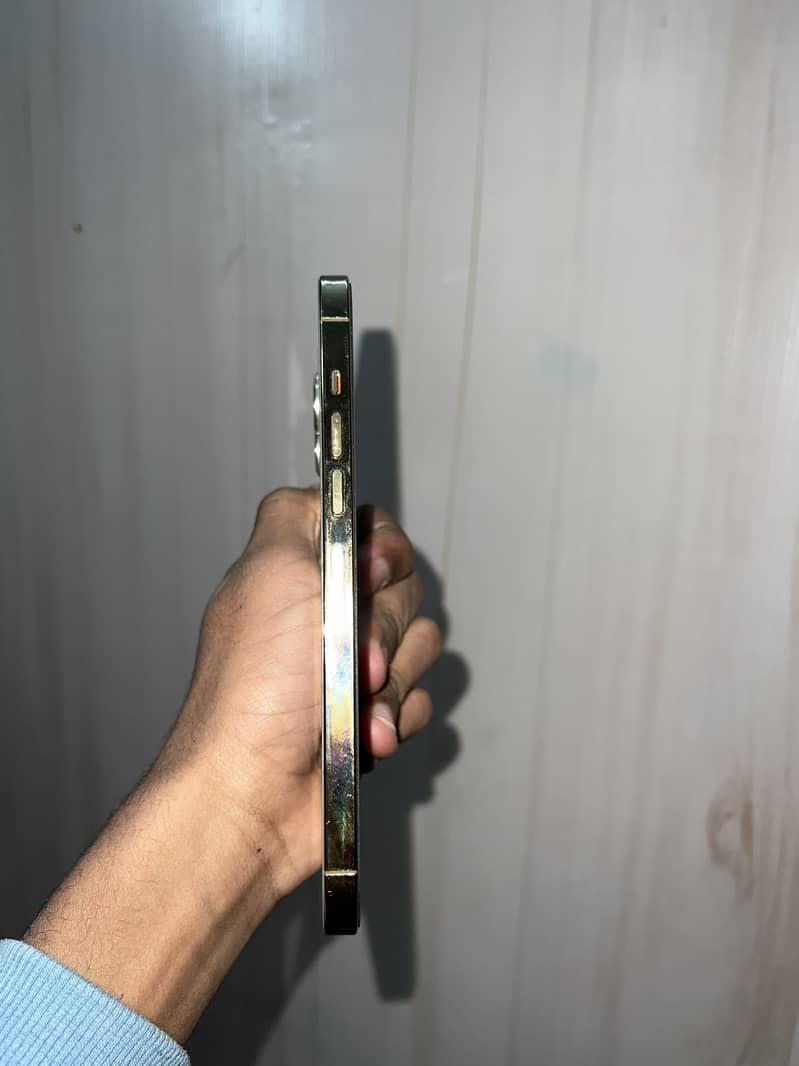 Apple iPhone 13 Pro Max 2