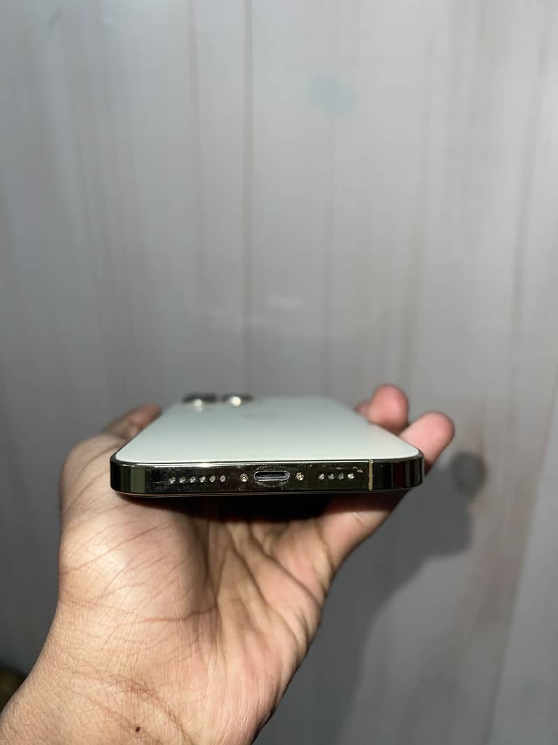 Apple iPhone 13 Pro Max 3