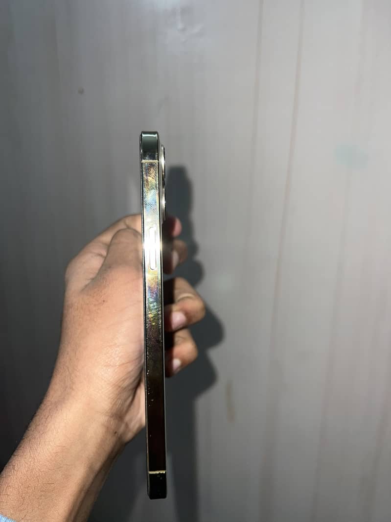Apple iPhone 13 Pro Max 4