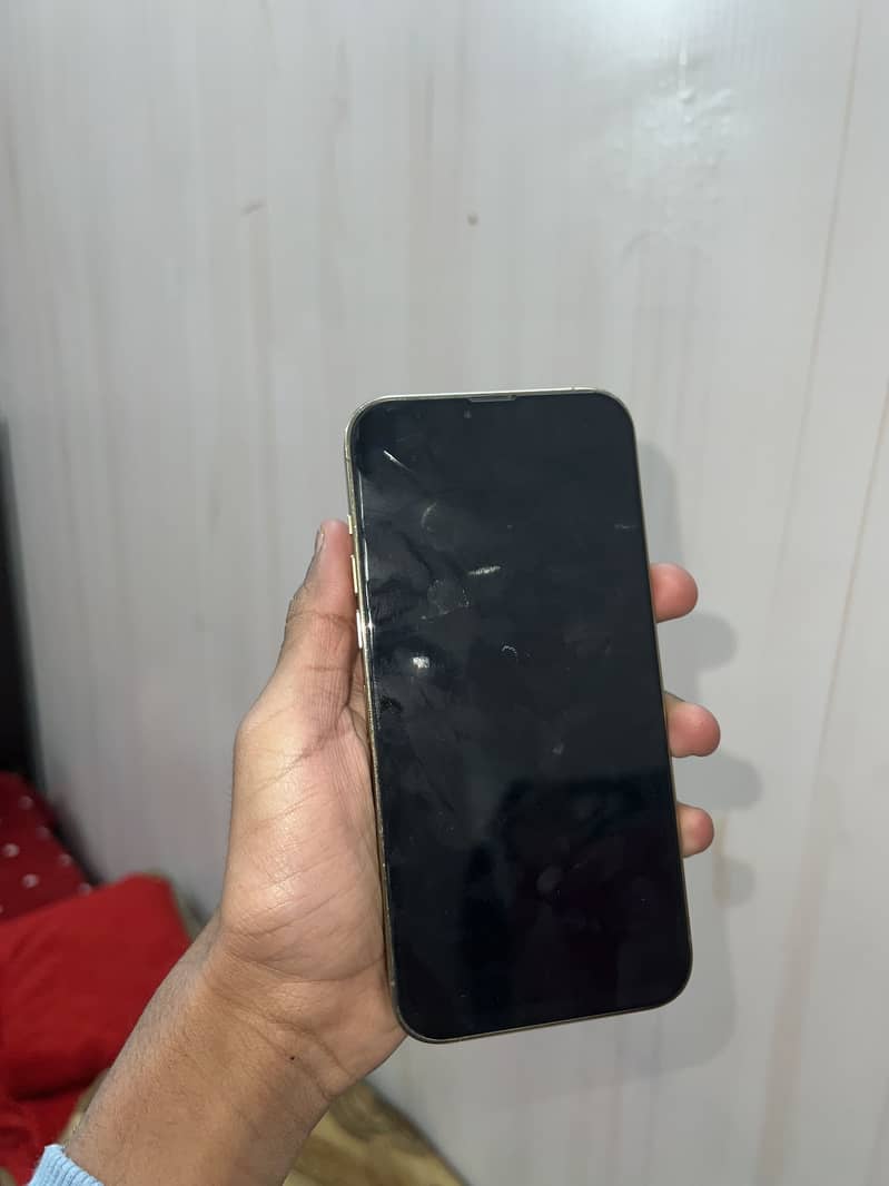 Apple iPhone 13 Pro Max 5