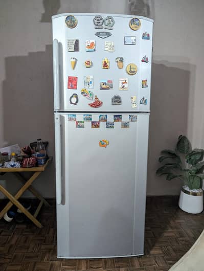 Haier Refrigerator 16 Cubic Feet in Excellent Condition