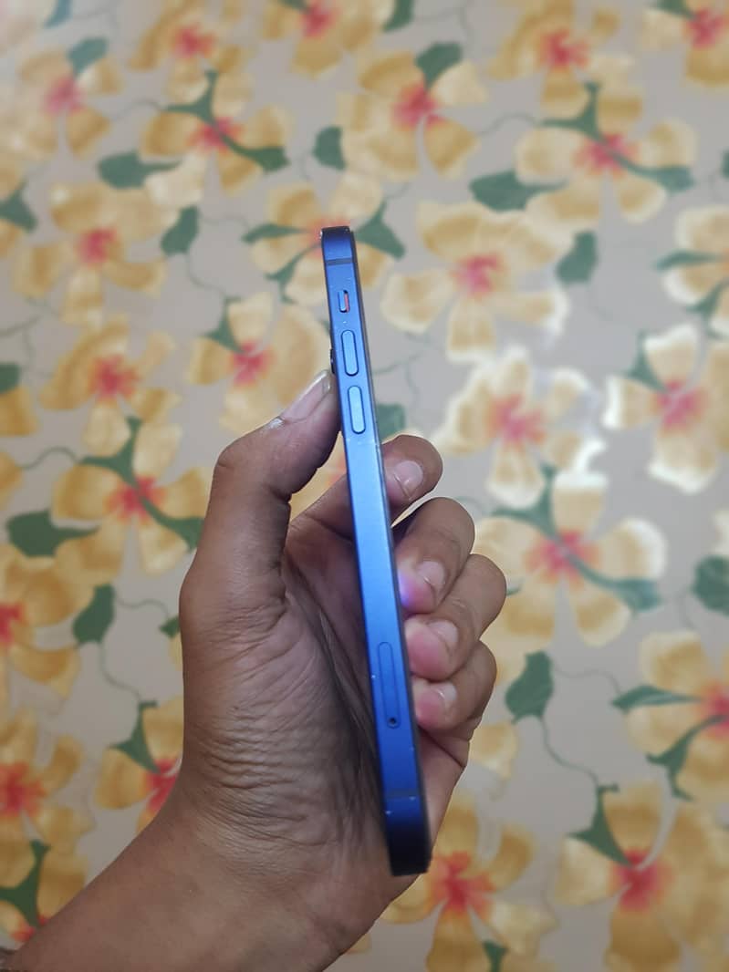 Apple iPhone 12 1