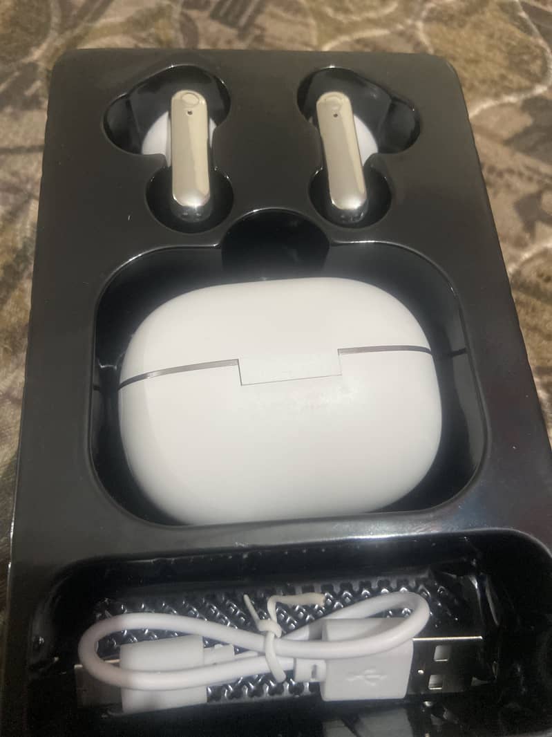 Earbuds 1
