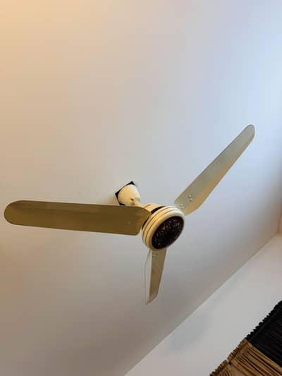 Royal DC Inverter Fan