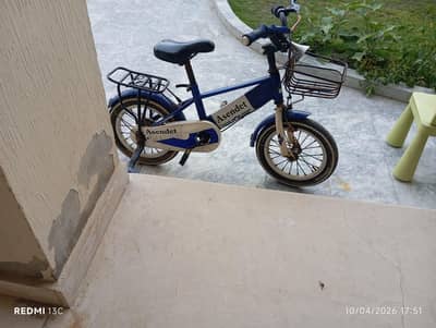 Kids' Adjustable seat Bicycle