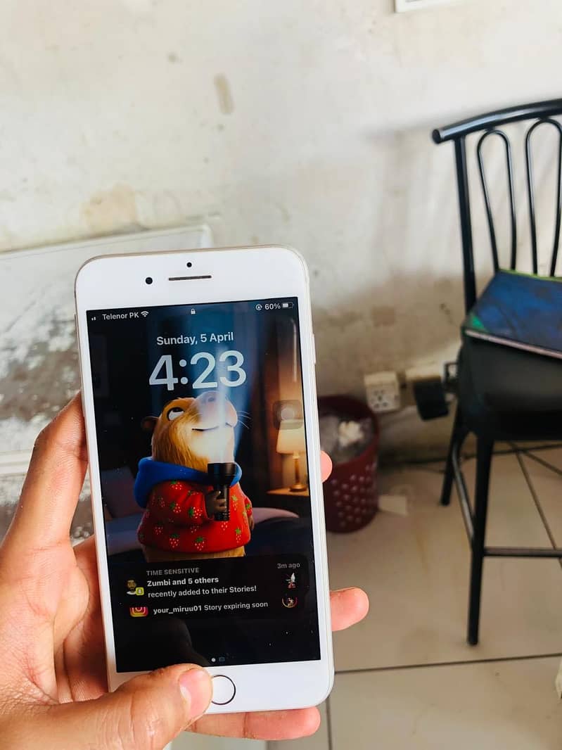 Apple iPhone 8 Plus 4